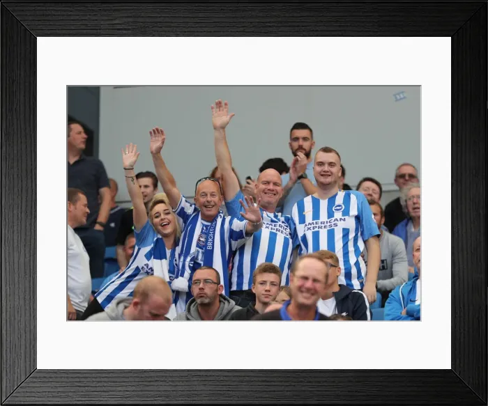 Framed Print : Brighton and Hove Albion vs. West Bromwich Albion: Premier League Showdown at American Express Community Stadium (September 9, 2017)