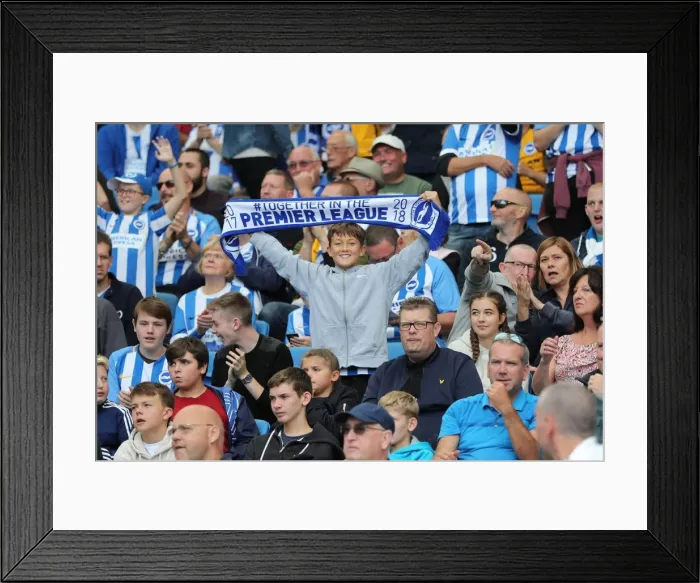 Framed Print : Brighton and Hove Albion vs. West Bromwich Albion: Premier League Showdown at American Express Community Stadium (September 9, 2017) Framed Print : Brighton and Hove Albion vs. West Bromwich Albion: Premier League Showdown at American Express Community Stadium (September 9, 2017)
