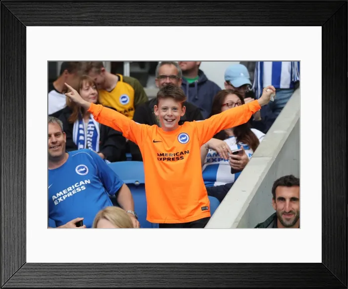 Framed Print : Brighton and Hove Albion vs. West Bromwich Albion: Premier League Showdown at American Express Community Stadium (September 9, 2017)