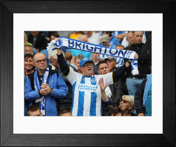 Framed Print : Brighton and Hove Albion vs. West Bromwich Albion: Premier League Showdown at American Express Community Stadium (September 9, 2017) Framed Print : Brighton and Hove Albion vs. West Bromwich Albion: Premier League Showdown at American Express Community Stadium (September 9, 2017)