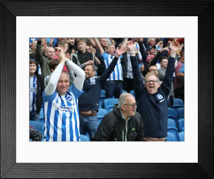 Framed Print : Brighton and Hove Albion vs. West Bromwich Albion: Premier League Showdown at American Express Community Stadium (September 9, 2017) Framed Print : Brighton and Hove Albion vs. West Bromwich Albion: Premier League Showdown at American Express Community Stadium (September 9, 2017)