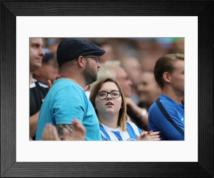 Framed Print : Brighton and Hove Albion vs. West Bromwich Albion: Premier League Showdown at American Express Community Stadium (September 9, 2017) Framed Print : Brighton and Hove Albion vs. West Bromwich Albion: Premier League Showdown at American Express Community Stadium (September 9, 2017)