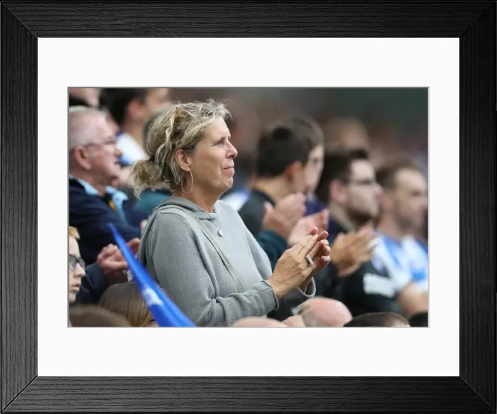 Framed Print : Brighton and Hove Albion vs. West Bromwich Albion: Premier League Showdown at American Express Community Stadium (September 9, 2017) Framed Print : Brighton and Hove Albion vs. West Bromwich Albion: Premier League Showdown at American Express Community Stadium (September 9, 2017)