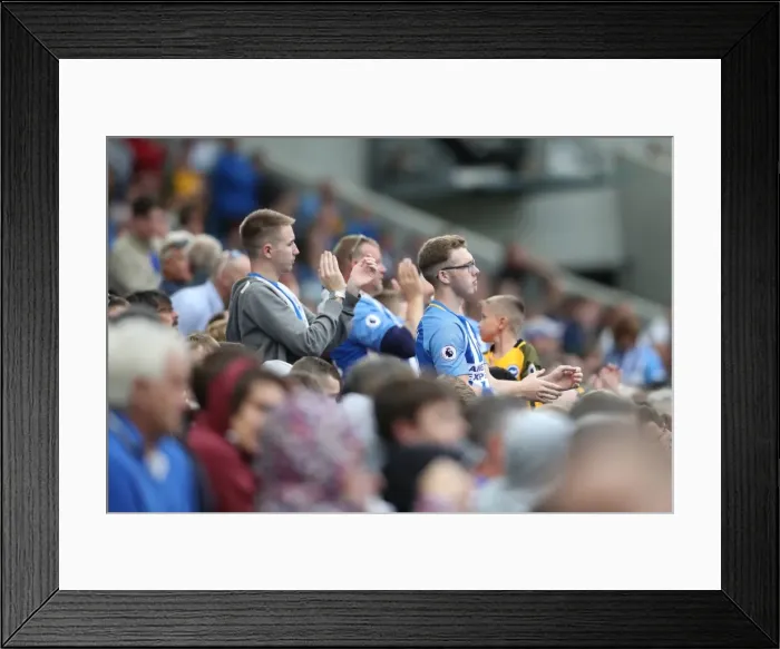 Framed Print : Brighton and Hove Albion vs. West Bromwich Albion: Premier League Showdown at American Express Community Stadium (09SEP17) Framed Print : Brighton and Hove Albion vs. West Bromwich Albion: Premier League Showdown at American Express Community Stadium (09SEP17)