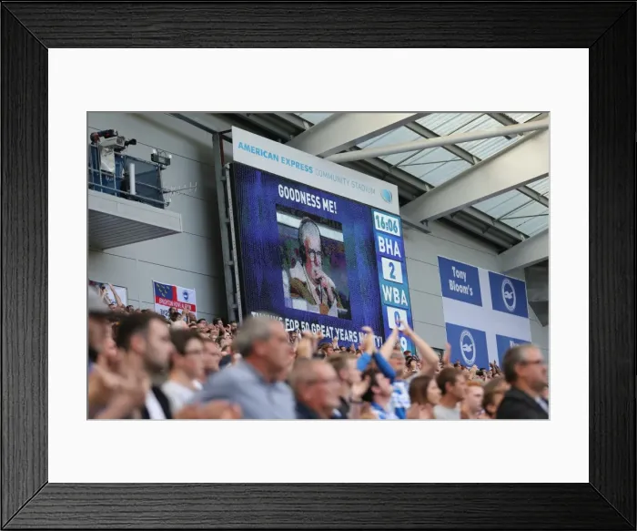 Framed Print : Brighton and Hove Albion vs. West Bromwich Albion: Premier League Showdown at American Express Community Stadium (September 9, 2017) Framed Print : Brighton and Hove Albion vs. West Bromwich Albion: Premier League Showdown at American Express Community Stadium (September 9, 2017)