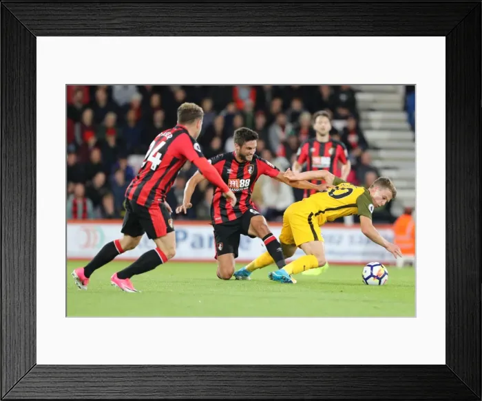 Framed Print : Premier League Showdown: Brighton and Hove Albion vs. AFC Bournemouth at Vitality Stadium (15SEP17) Framed Print : Premier League Showdown: Brighton and Hove Albion vs. AFC Bournemouth at Vitality Stadium (15SEP17)