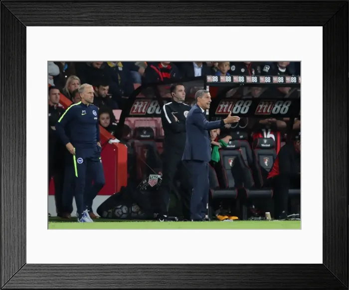 Framed Print : Premier League Showdown: Brighton and Hove Albion vs AFC Bournemouth at Vitality Stadium (15SEP17) Framed Print : Premier League Showdown: Brighton and Hove Albion vs AFC Bournemouth at Vitality Stadium (15SEP17)
