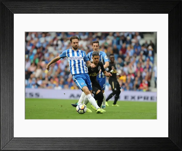Framed Print : Brighton's Davy Propper in Action Against Newcastle United - Premier League Clash, September 2017 Framed Print : Brighton's Davy Propper in Action Against Newcastle United - Premier League Clash, September 2017