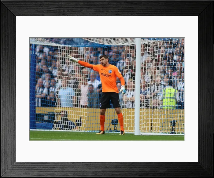 Framed Print : Brighton & Hove Albion's Mathew Ryan in Action: Premier League Clash vs. Newcastle United (September 2017) Framed Print : Brighton & Hove Albion's Mathew Ryan in Action: Premier League Clash vs. Newcastle United (September 2017)