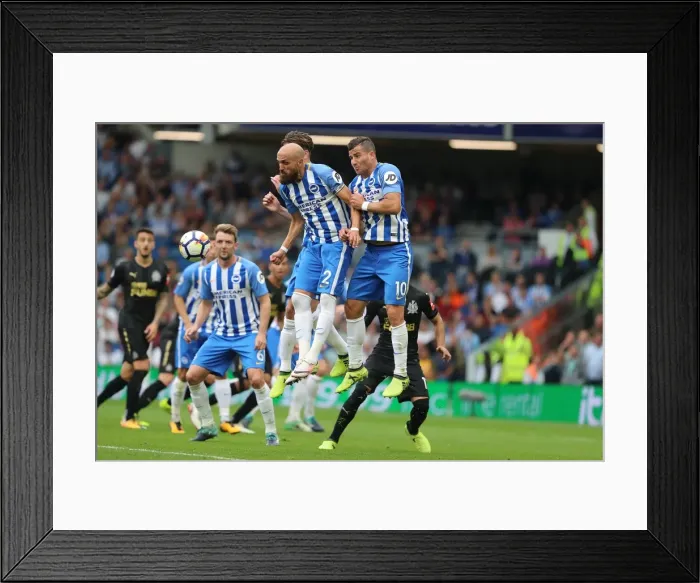 Framed Print : Defiant Albion Defense Repels Newcastle Free-Kick Threat (August 12, 2017) Framed Print : Defiant Albion Defense Repels Newcastle Free-Kick Threat (August 12, 2017)