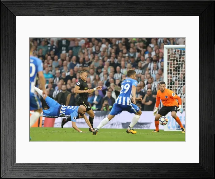 Framed Print : Brighton Defender Bruno Dives to Save: Brighton and Hove Albion vs Newcastle United, Premier League (2017) Framed Print : Brighton Defender Bruno Dives to Save: Brighton and Hove Albion vs Newcastle United, Premier League (2017)