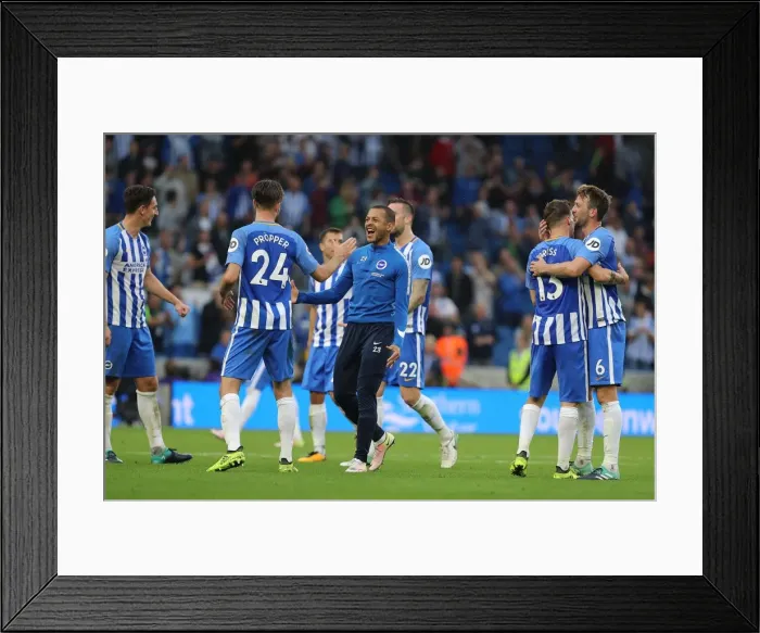 Framed Print : Brighton and Hove Albion Celebrate Victory: Liam Rosenior Rejoices with Team-mates vs. Newcastle United (August 12, 2017) Framed Print : Brighton and Hove Albion Celebrate Victory: Liam Rosenior Rejoices with Team-mates vs. Newcastle United (August 12, 2017)