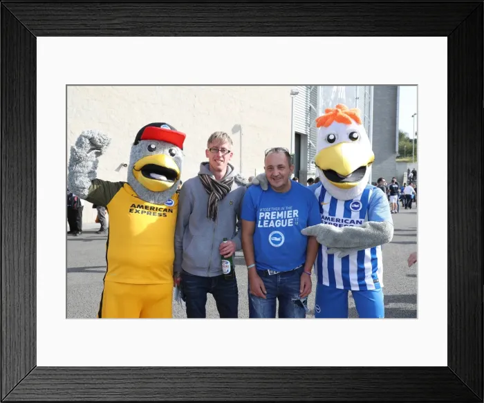 Framed Print : Brighton and Hove Albion vs. Newcastle United: Premier League Battle at American Express Community Stadium (September 2017) Framed Print : Brighton and Hove Albion vs. Newcastle United: Premier League Battle at American Express Community Stadium (September 2017)