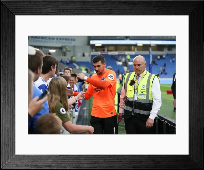 Framed Print : Brighton and Hove Albion vs. Newcastle United: Premier League Battle at American Express Community Stadium (September 2017) Framed Print : Brighton and Hove Albion vs. Newcastle United: Premier League Battle at American Express Community Stadium (September 2017)