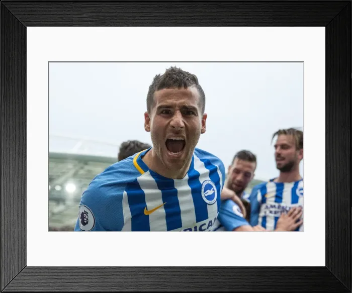 Framed Print : Brighton and Hove Albion vs. Newcastle United: Premier League Showdown at American Express Community Stadium (September 2017) Framed Print : Brighton and Hove Albion vs. Newcastle United: Premier League Showdown at American Express Community Stadium (September 2017)