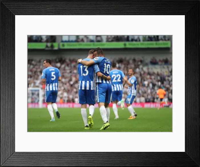 Framed Print : Brighton and Hove Albion vs. Newcastle United: Premier League Battle at American Express Community Stadium (September 2017) Framed Print : Brighton and Hove Albion vs. Newcastle United: Premier League Battle at American Express Community Stadium (September 2017)