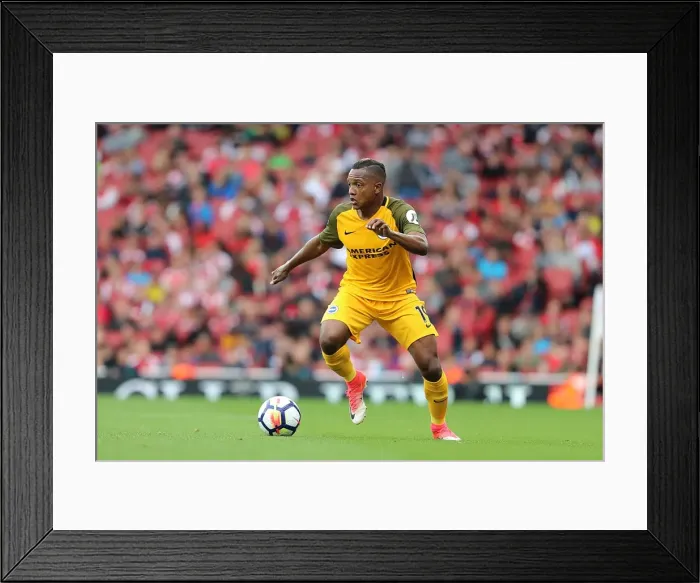 Framed Print : Jose Izquierdo in Action: Arsenal vs. Brighton and Hove Albion, Premier League (1st October 2017) Framed Print : Jose Izquierdo in Action: Arsenal vs. Brighton and Hove Albion, Premier League (1st October 2017)