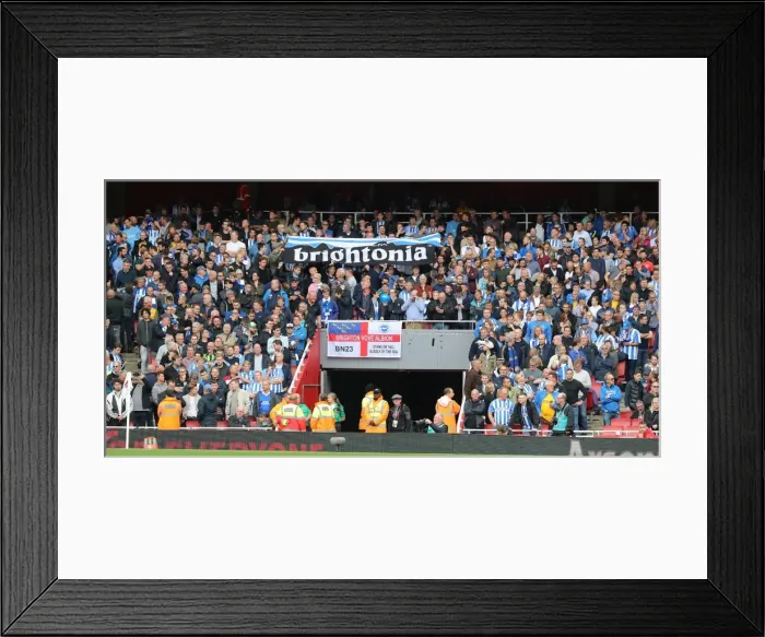 Framed Print : Sea of Seagulls: Brighton Fans at the Emirates (01OCT17) Framed Print : Sea of Seagulls: Brighton Fans at the Emirates (01OCT17)