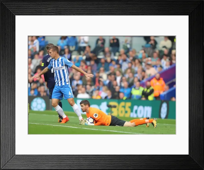 Framed Print : Mathew Ryan in Action: Brighton & Hove Albion vs. Everton (Premier League, October 2017) Framed Print : Mathew Ryan in Action: Brighton & Hove Albion vs. Everton (Premier League, October 2017)