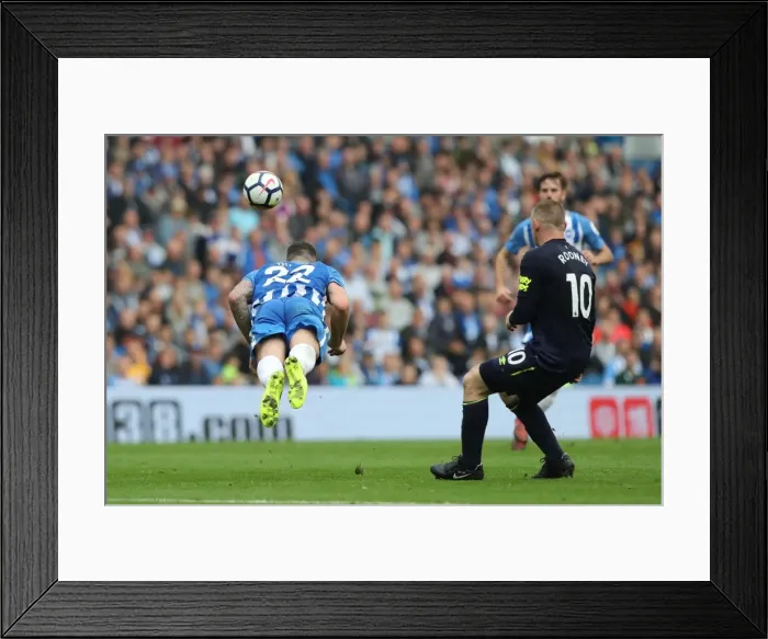 Framed Print : Brighton and Hove Albion vs. Everton: Premier League Showdown at American Express Community Stadium (15OCT17) Framed Print : Brighton and Hove Albion vs. Everton: Premier League Showdown at American Express Community Stadium (15OCT17)