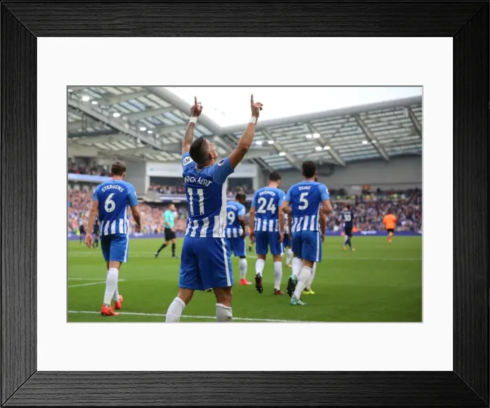 Framed Print : Brighton and Hove Albion vs. Everton: Premier League Showdown at American Express Community Stadium (15OCT17) Framed Print : Brighton and Hove Albion vs. Everton: Premier League Showdown at American Express Community Stadium (15OCT17)