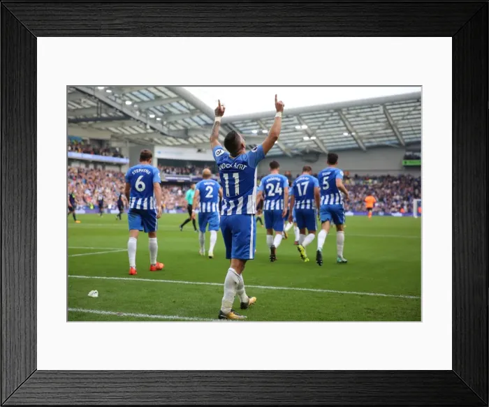 Framed Print : Brighton and Hove Albion vs. Everton: Premier League Showdown at American Express Community Stadium (15OCT17) Framed Print : Brighton and Hove Albion vs. Everton: Premier League Showdown at American Express Community Stadium (15OCT17)