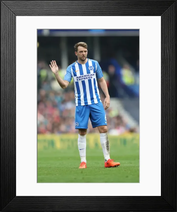 Framed Print : Brighton and Hove Albion vs Everton: Premier League Showdown at American Express Community Stadium (15OCT17) Framed Print : Brighton and Hove Albion vs Everton: Premier League Showdown at American Express Community Stadium (15OCT17)