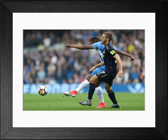 Framed Print : Brighton and Hove Albion vs. Everton: Premier League Showdown at American Express Community Stadium (15OCT17) Framed Print : Brighton and Hove Albion vs. Everton: Premier League Showdown at American Express Community Stadium (15OCT17)