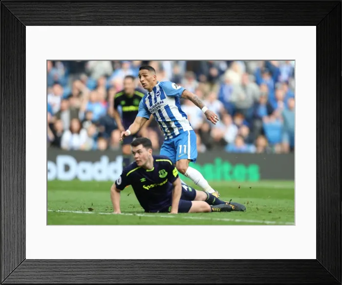 Framed Print : Brighton and Hove Albion vs. Everton: Premier League Showdown at American Express Community Stadium (15OCT17) Framed Print : Brighton and Hove Albion vs. Everton: Premier League Showdown at American Express Community Stadium (15OCT17)