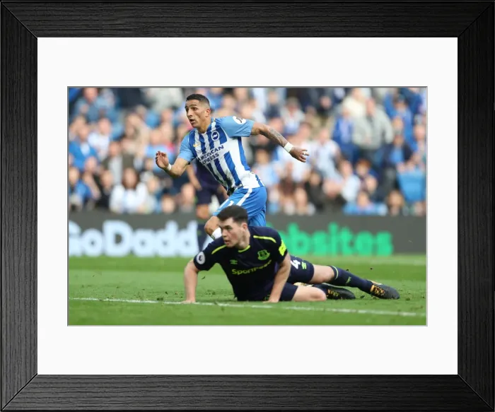 Framed Print : Brighton and Hove Albion vs. Everton: Premier League Showdown at American Express Community Stadium (15OCT17) Framed Print : Brighton and Hove Albion vs. Everton: Premier League Showdown at American Express Community Stadium (15OCT17)