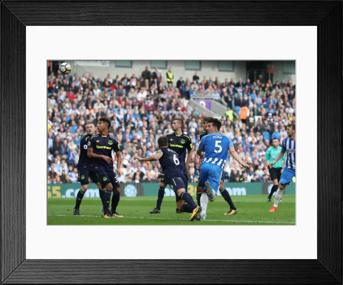 Framed Print : Brighton and Hove Albion vs. Everton: Premier League Showdown at American Express Community Stadium (15OCT17) Framed Print : Brighton and Hove Albion vs. Everton: Premier League Showdown at American Express Community Stadium (15OCT17)