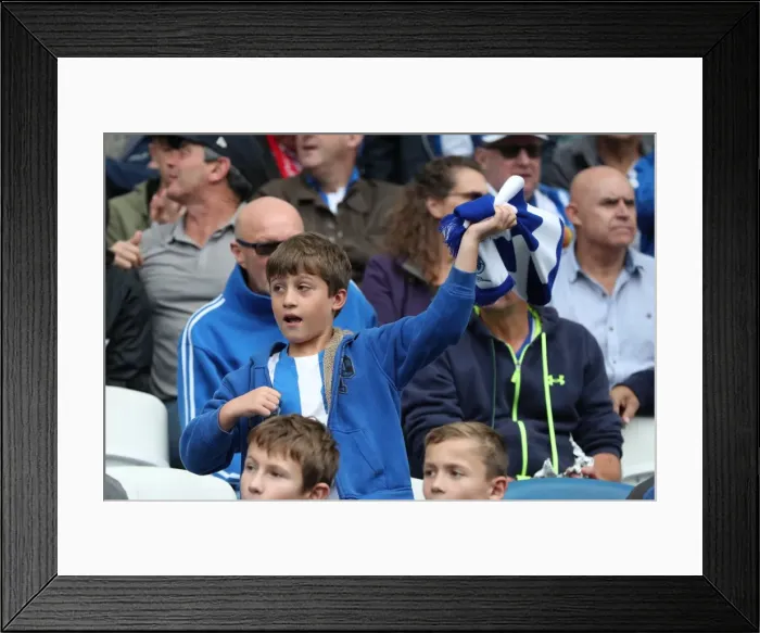 Framed Print : Brighton and Hove Albion vs. Everton: Premier League Showdown at American Express Community Stadium (15OCT17) Framed Print : Brighton and Hove Albion vs. Everton: Premier League Showdown at American Express Community Stadium (15OCT17)