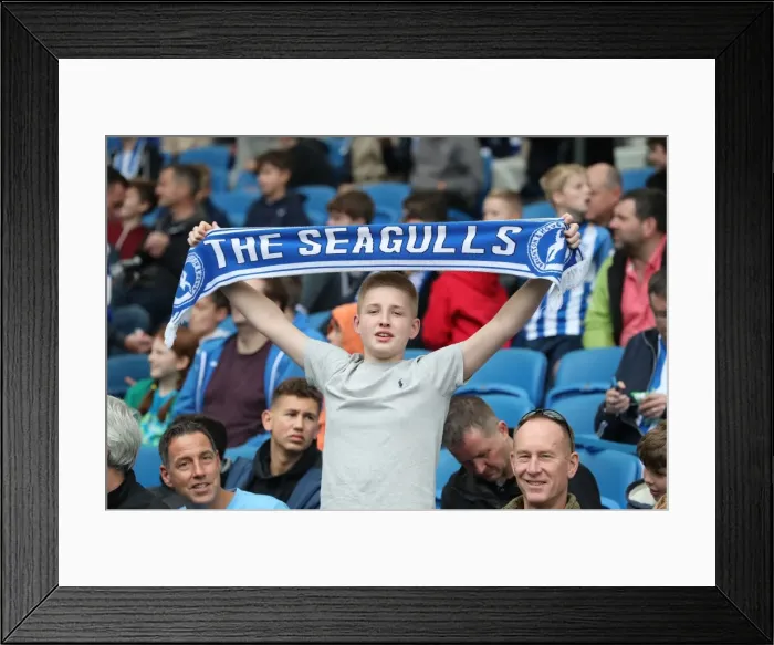 Framed Print : Brighton and Hove Albion vs. Everton: Premier League Showdown at American Express Community Stadium (15OCT17)