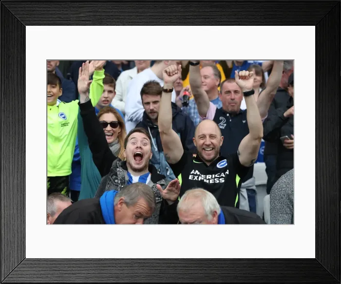 Framed Print : Brighton and Hove Albion vs Everton: Premier League Showdown at American Express Community Stadium (15OCT17) Framed Print : Brighton and Hove Albion vs Everton: Premier League Showdown at American Express Community Stadium (15OCT17)