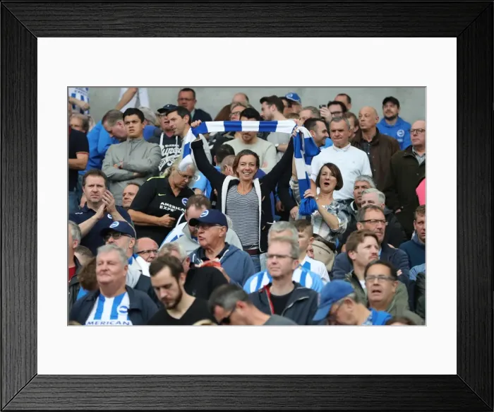 Framed Print : Brighton and Hove Albion vs. Everton: Premier League Showdown at American Express Community Stadium (15OCT17) Framed Print : Brighton and Hove Albion vs. Everton: Premier League Showdown at American Express Community Stadium (15OCT17)