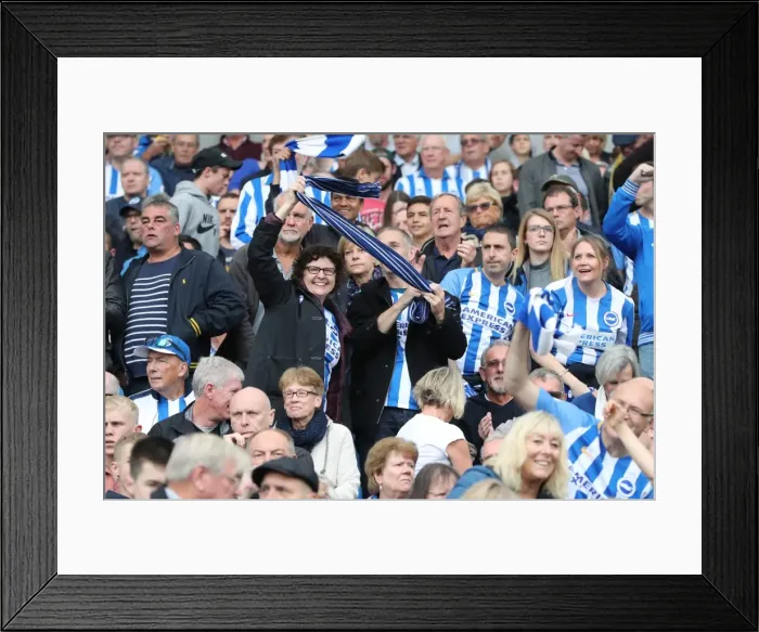 Framed Print : Brighton and Hove Albion vs. Everton: Premier League Showdown at American Express Community Stadium (15OCT17) Framed Print : Brighton and Hove Albion vs. Everton: Premier League Showdown at American Express Community Stadium (15OCT17)
