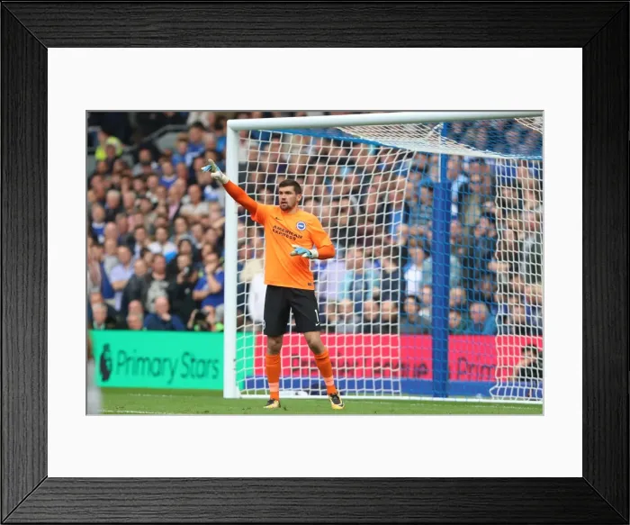Framed Print : Brighton and Hove Albion vs Everton: Premier League Showdown at American Express Community Stadium (15OCT17) Framed Print : Brighton and Hove Albion vs Everton: Premier League Showdown at American Express Community Stadium (15OCT17)