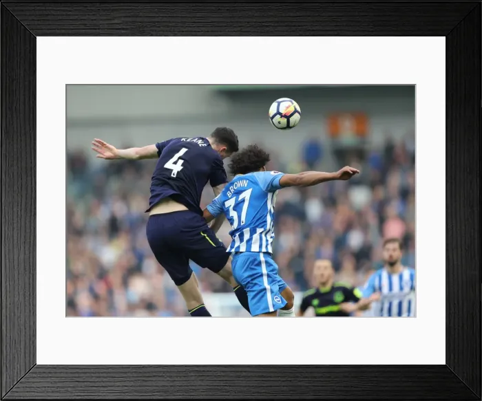 Framed Print : Brighton and Hove Albion vs. Everton: Premier League Showdown at American Express Community Stadium (15OCT17) Framed Print : Brighton and Hove Albion vs. Everton: Premier League Showdown at American Express Community Stadium (15OCT17)