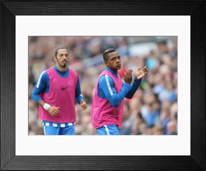 Framed Print : Brighton and Hove Albion vs. Everton: Premier League Showdown at American Express Community Stadium (15OCT17) Framed Print : Brighton and Hove Albion vs. Everton: Premier League Showdown at American Express Community Stadium (15OCT17)