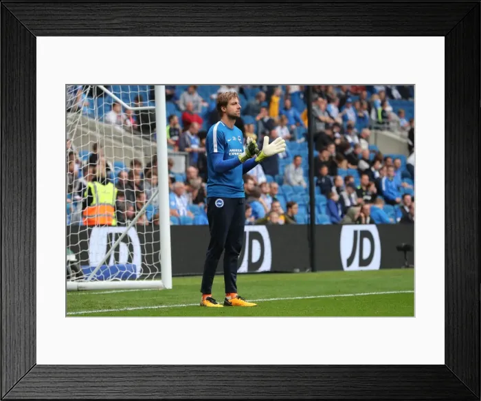 Framed Print : Brighton and Hove Albion vs. Everton: Premier League Showdown at American Express Community Stadium (15OCT17) Framed Print : Brighton and Hove Albion vs. Everton: Premier League Showdown at American Express Community Stadium (15OCT17)