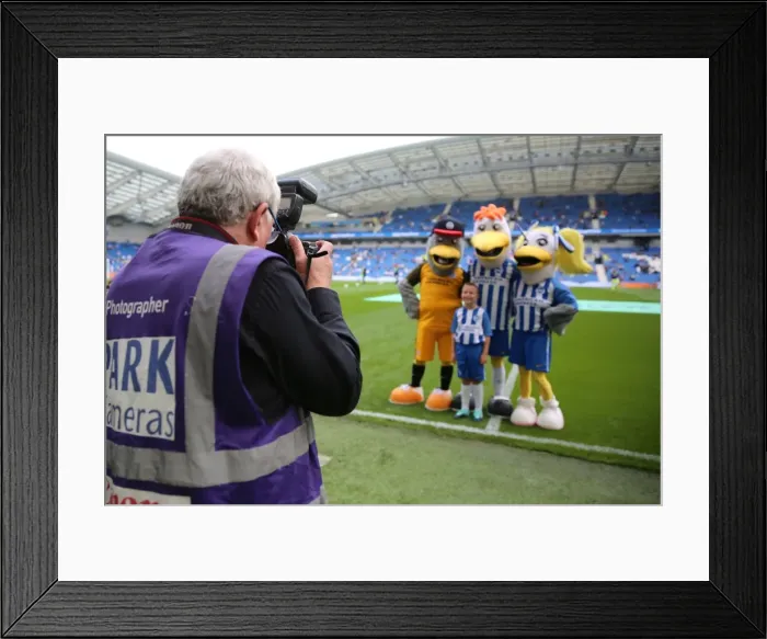 Framed Print : Brighton and Hove Albion vs. Everton: Premier League Showdown at American Express Community Stadium (October 15, 2017) Framed Print : Brighton and Hove Albion vs. Everton: Premier League Showdown at American Express Community Stadium (October 15, 2017)