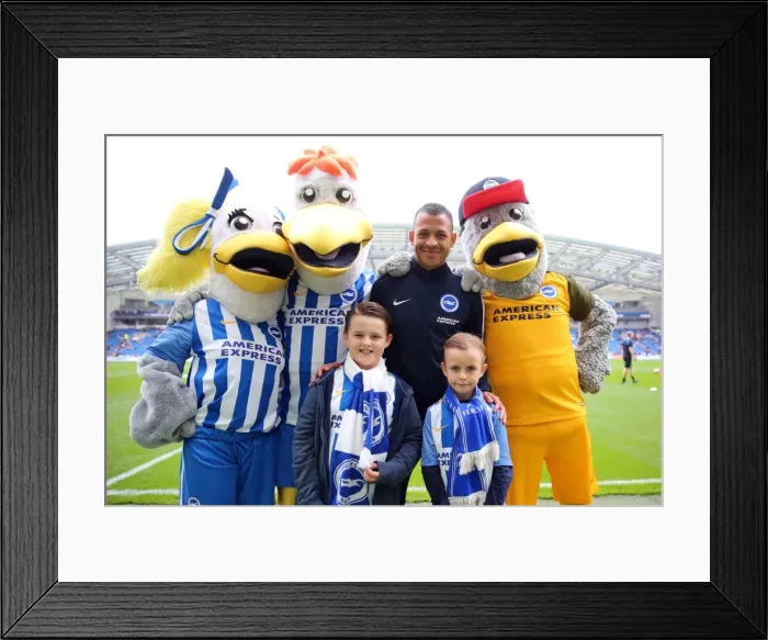 Framed Print : Brighton and Hove Albion vs. Everton: Premier League Showdown at American Express Community Stadium (October 15, 2017) Framed Print : Brighton and Hove Albion vs. Everton: Premier League Showdown at American Express Community Stadium (October 15, 2017)