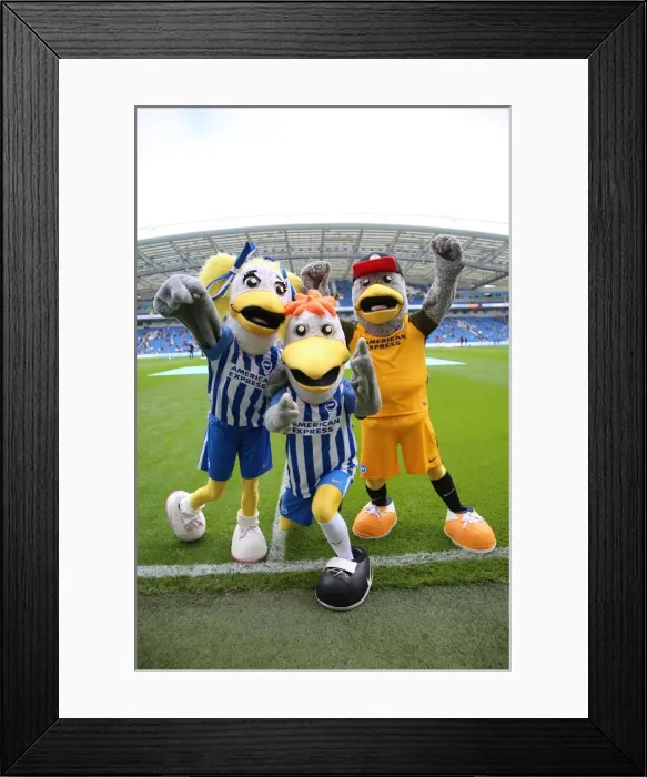 Framed Print : Brighton and Hove Albion vs. Everton: Premier League Showdown at American Express Community Stadium (October 15, 2017) Framed Print : Brighton and Hove Albion vs. Everton: Premier League Showdown at American Express Community Stadium (October 15, 2017)