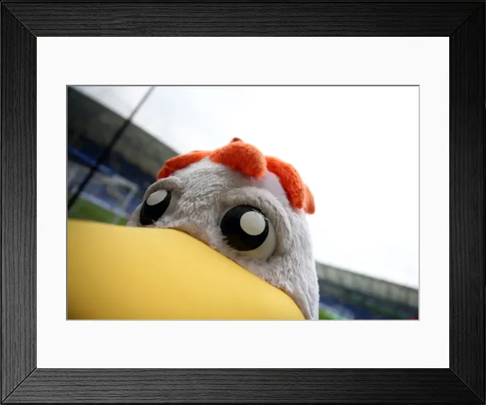 Framed Print : Brighton and Hove Albion vs. Everton: Premier League Showdown at American Express Community Stadium (October 15, 2017) Framed Print : Brighton and Hove Albion vs. Everton: Premier League Showdown at American Express Community Stadium (October 15, 2017)