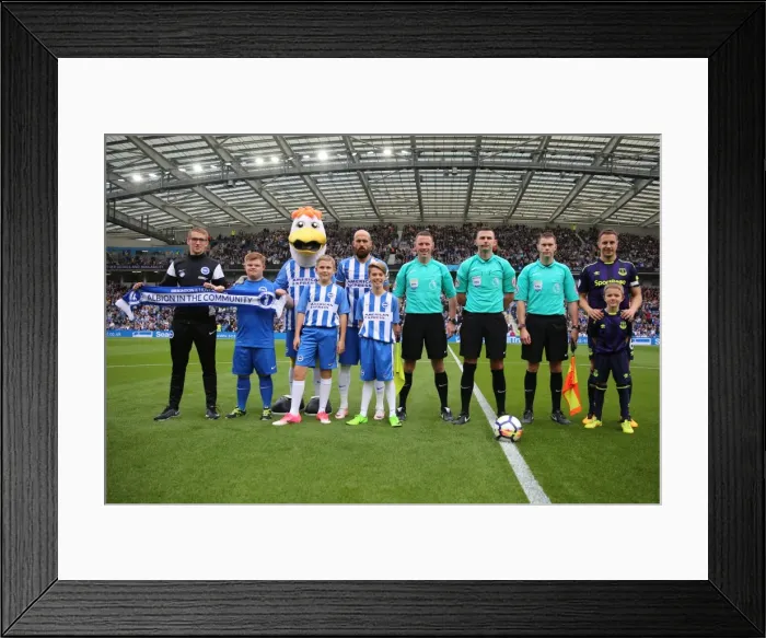 Framed Print : Premier League Showdown: Brighton & Hove Albion vs. Everton (October 15, 2017) - American Express Community Stadium
