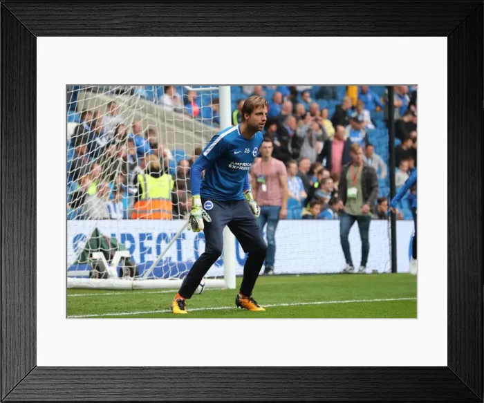 Framed Print : Brighton and Hove Albion vs. Everton: Premier League Clash at American Express Community Stadium (October 15, 2017) Framed Print : Brighton and Hove Albion vs. Everton: Premier League Clash at American Express Community Stadium (October 15, 2017)