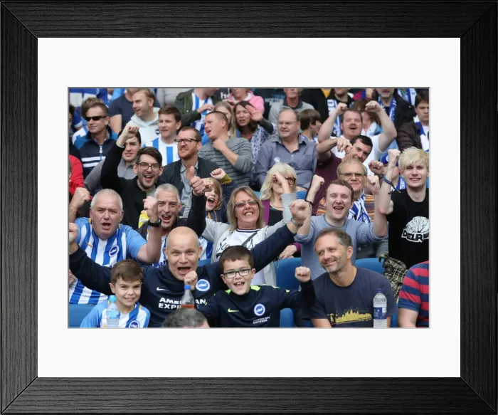 Framed Print : Brighton and Hove Albion vs. Everton: Premier League Showdown at American Express Community Stadium (October 15, 2017) Framed Print : Brighton and Hove Albion vs. Everton: Premier League Showdown at American Express Community Stadium (October 15, 2017)