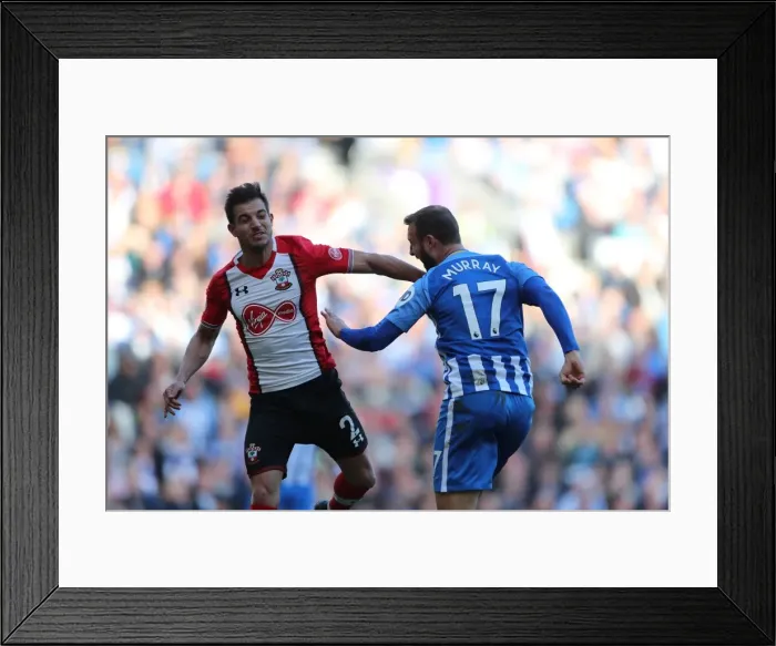 Framed Print : Brighton and Hove Albion vs Southampton: A Premier League Showdown at American Express Community Stadium (29OCT17) Framed Print : Brighton and Hove Albion vs Southampton: A Premier League Showdown at American Express Community Stadium (29OCT17)