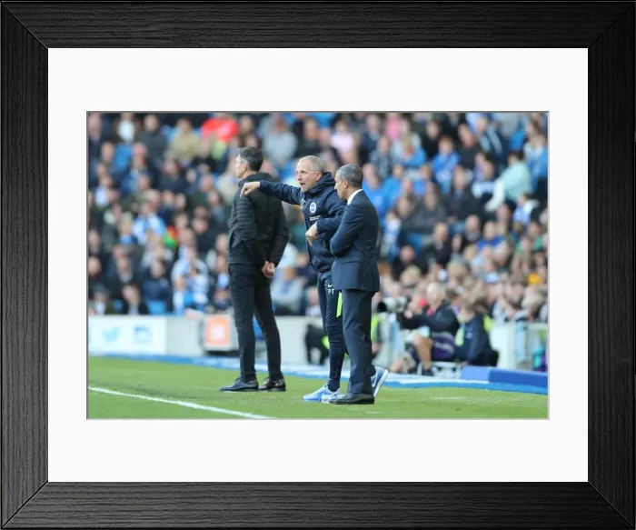 Framed Print : Premier League Showdown: Brighton and Hove Albion vs. Southampton (29OCT17) - American Express Community Stadium