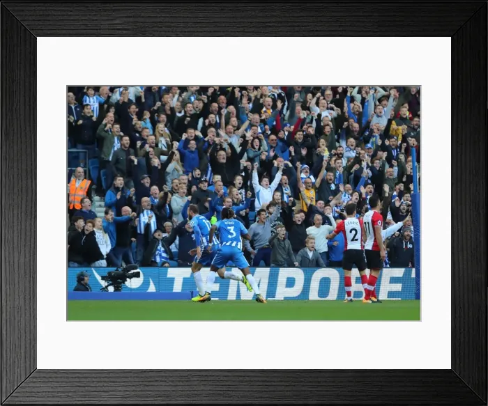 Framed Print : Premier League Showdown: Brighton & Hove Albion vs. Southampton (29OCT17) - American Express Community Stadium Framed Print : Premier League Showdown: Brighton & Hove Albion vs. Southampton (29OCT17) - American Express Community Stadium